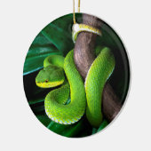 Rot-angebundenes Bambuspitviper Keramik Ornament (Links)