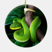 Rot-angebundenes Bambuspitviper Keramik Ornament (Hinten)