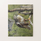 Rot angebundenes Falke-Puzzlespiel Puzzle (Vertikal)