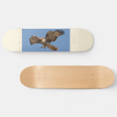 Rot-Angebundenes Falke-Skateboard Skateboard (Horizontal)