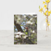 Rot-aufgeblähte Specht-Anmerkungs-Karte Karte (Gelbe Blume)