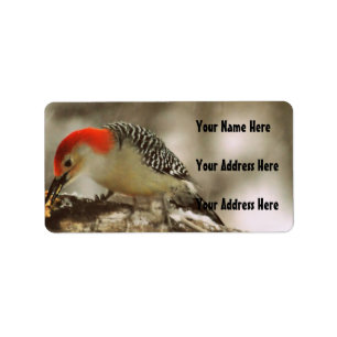 Rot aufgeblähter Specht Adressaufkleber