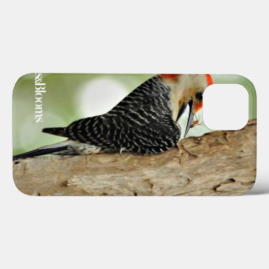 Rot-Aufgeblähter Specht Case-Mate iPhone Hülle (Rückseite (Horizontal))