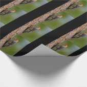 Rot-aufgeblähter Specht Geschenkpapier (Ecke)