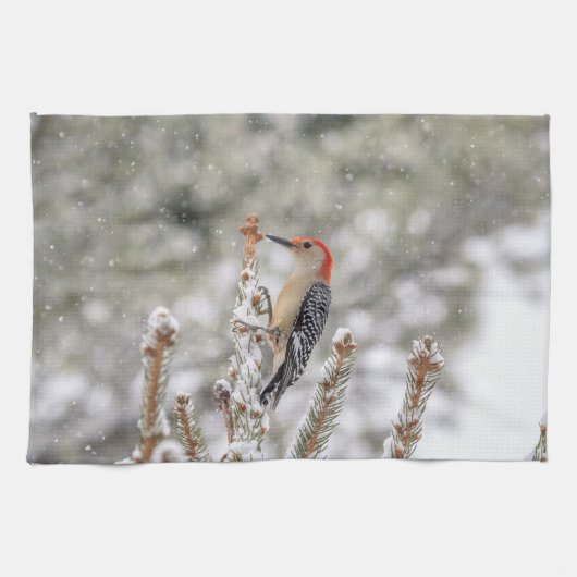 Rot-aufgeblähter Specht im Schnee Handtuch (Horizontal)