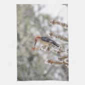 Rot-aufgeblähter Specht im Schnee Handtuch (Vertikal)