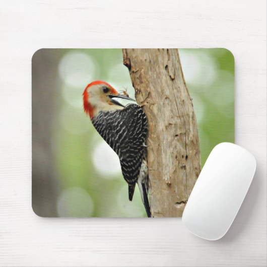 Rot-Aufgeblähter Specht Mousepad (Mit Mouse)