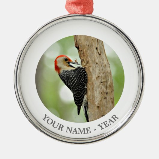 Rot-Aufgeblähter Specht Ornament Aus Metall (Vorne)