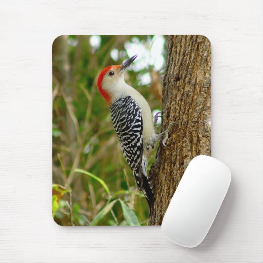 Rot aufgeblähter Specht-Vogel Mousepad (Mit Mouse)