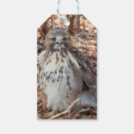 Rot band den verdoppelten Falken an Geschenkanhänger