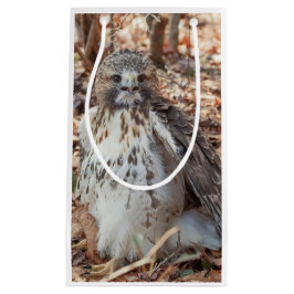 Rot band den verdoppelten Falken an Kleine Geschenktüte