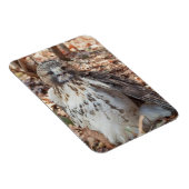 Rot band den verdoppelten Falken an Magnet (Rechte Seite)