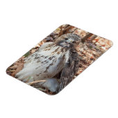 Rot band den verdoppelten Falken an Magnet (Linke Seite)