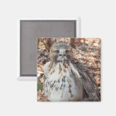 Rot band den verdoppelten Falken an Magnet (Vorderseite/Rückseite)