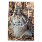 Rot band den verdoppelten Falken an Mittlere Geschenktüte (Rückseite)