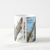 Rot-Bäuche-Woodpecker-Tasse Kaffeetasse (Mittel)