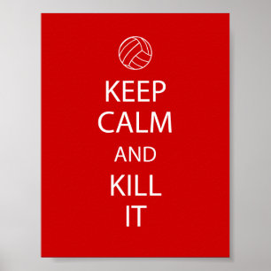 Rot behalten ruhiges Volleyball-Plakat Poster