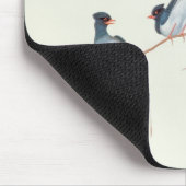 Rot-berechnete blaue Elster, Beeren eines Mousepad (Ecke)