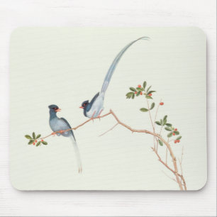 Rot-berechnete blaue Elster, Beeren eines Mousepad