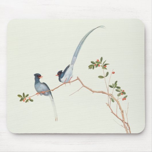Rot-berechnete blaue Elster, Beeren eines Mousepad (Vorne)