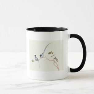 Rot-berechnete blaue Elster, Beeren eines Tasse