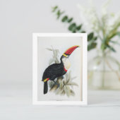 Rot-Billing Toucan, von 'A Monograph of the Rampha Postkarte (Stehend Vorderseite)
