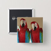 Rot, Blau, Grüne Macaws (Papageien) Button (Vorne & Hinten)