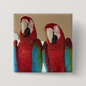 Rot, Blau, Grüne Macaws (Papageien) Button (Vorderseite)