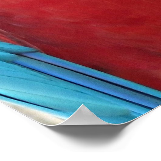 Rot, Blau, Grüne Macaws (Papageien) Poster (Ecke)