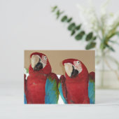 Rot, Blau, Grüne Macaws (Papageien) Postkarte (Stehend Vorderseite)