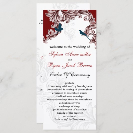 Rot-Blau-Liebhaberprogramme Programm (Vorne/Hinten)