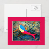 Rot-Blau-Meerjungfrau Postkarte (Vorne/Hinten)