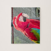 Rot-Blau-Papageien sitzen zusammen Puzzle (Vertikal)