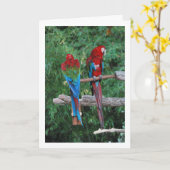 Rot-Blau- und Grüne Papageien Karte (Gelbe Blume)