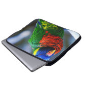 Rot-Blau-Vogelfotografie Laptopschutzhülle (Vorne Knopf)