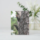 Rot-böse Postkarte für Männer und Flöhe (Stehend Vorderseite)