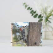 Rot-böse weibliche Postkarte (Stehend Vorderseite)