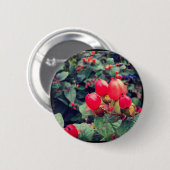Rot Button (Vorne & Hinten)