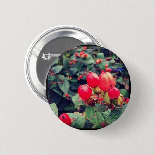 Rot Button (Vorne & Hinten)