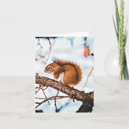 Rot Eichhörnchen Karte