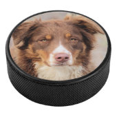 Rot Eishockey Puck (3/4)