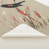 Rot-Flügel-Bull-Rushes Sherpadecke (3/4)