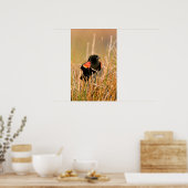 Rot-Flügel-Schwarzvogel-Männchen singen Poster (Küche)