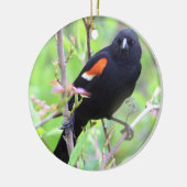 Rot-Flügel-Schwarzvogel-Ornament Keramik Ornament (Links)