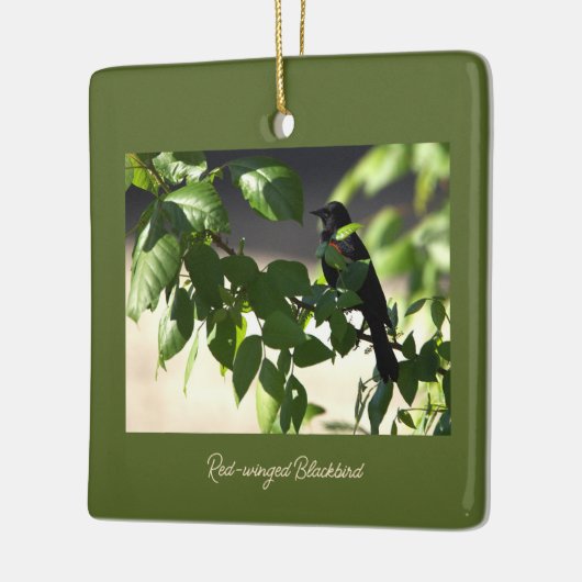 Rot-Flügel-Schwarzvogel-Ornament Keramikornament (Links)