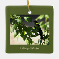 Rot-Flügel-Schwarzvogel-Ornament