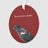 Rot-Flügel-Schwarzvogel-Ornament Ornament (Vorderseite)