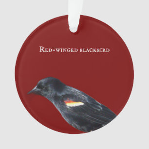 Rot-Flügel-Schwarzvogel-Ornament Ornament