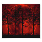 Rot... Fotodruck (Vorne)