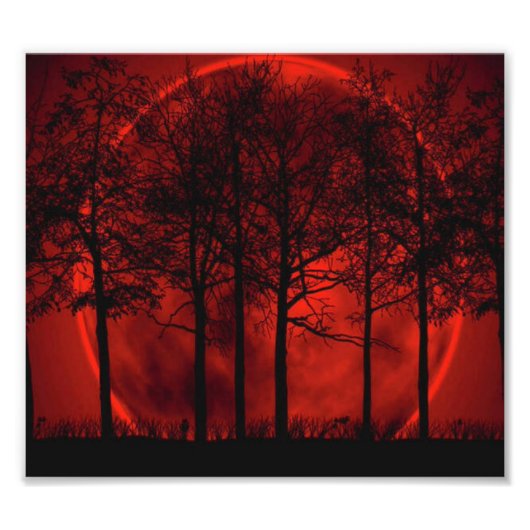 Rot... Fotodruck (Vorne)